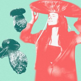 «Нашего появления грибы еще даже не заметили»: миколог — о том, почему с грибами нужно дружить