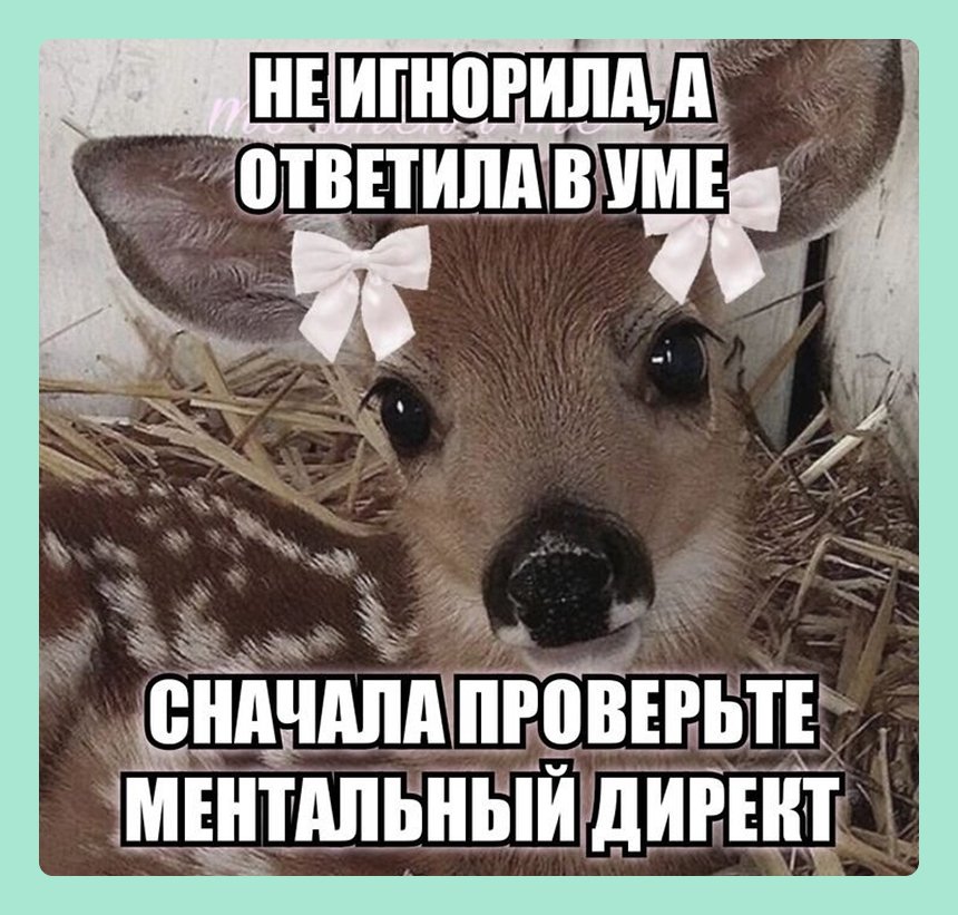 16 мемов про жизнь без интернета — для всех, кто с трудом пережил отключение сети. Природа настолько очистилась, что в Москве отключили интернет