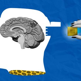 Китайские ученые создали нейронный интерфейс для имплантации в мозг – он тоньше человеческого волоса