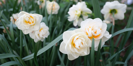 Исследование: склонность постоянно чувствовать себя жертвой — признак токсичного нарциссизма