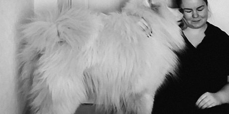 Как позаботиться о своих домашних животных во время пандемии: 5 полезных советов