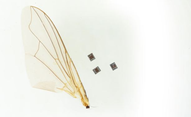 Maya Lassiter/University of Pennsylvania 