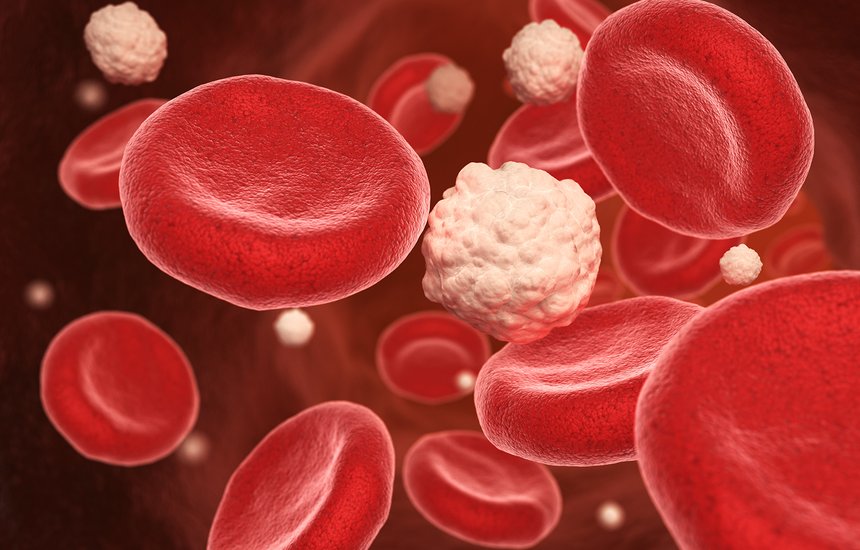 3D-визуализация эритроцитов и глюкозы