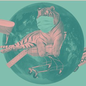 «Вечерний карантин»: занимаемся виртуальным туризмом и ищем товары со скидкой в дайджесте «Цеха»