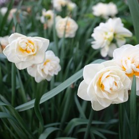 Исследование: склонность постоянно чувствовать себя жертвой — признак токсичного нарциссизма