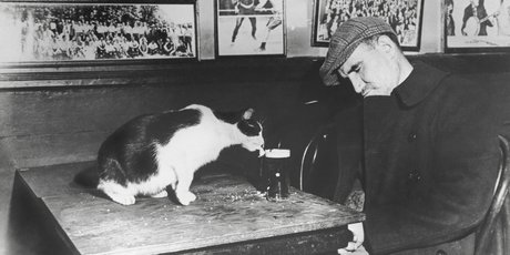 Все знают, что спать мало — плохо, а насколько опасно пересыпать? Объясняют специалисты