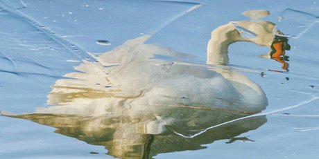 Все или ничего: как синдром отличника мешает нам полноценно жить