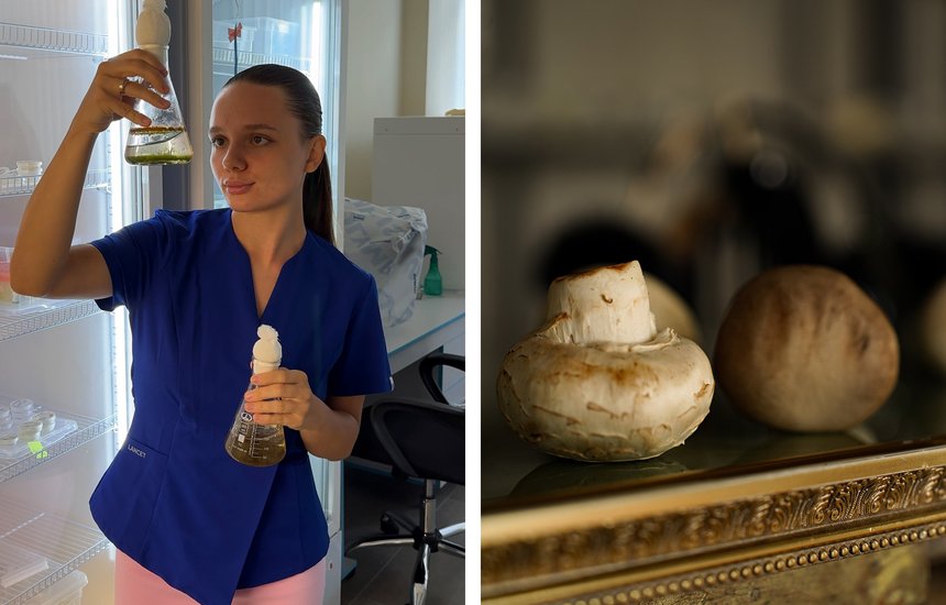 Элина Миронова. Миколог. Шампиньоны