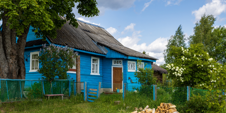 800 000 — цена белорусской деревни Веселуха, выставленной на продажу