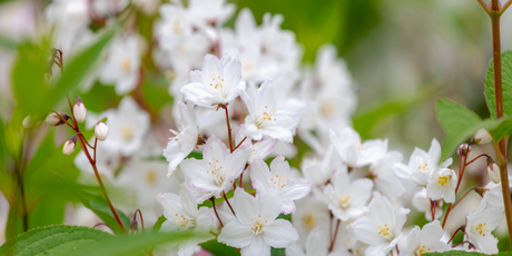 Госдума призывает разрешить аллергикам уходить во внеплановый оплачиваемый отпуск на период цветения