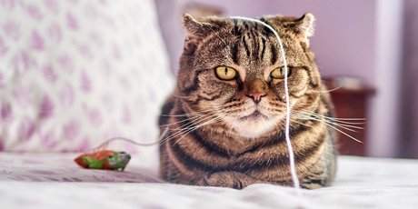 Как сделать скуку продуктивной: 4 действенных совета