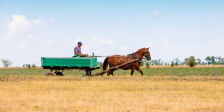 Россияне рассказали, сколько хотят зарабатывать. Желания 90,9% не соответствуют реальному доходу
