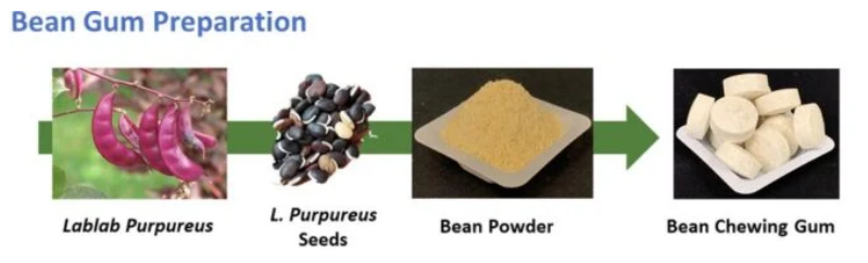 Daniell, et al/Molecular Theory