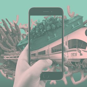 «Вечерний карантин»: виртуальные путешествия, лучшие фото недели и интервью врачей в дайджесте “Цеха”