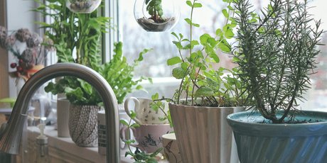 «Чтобы вырасти и расцвести, нужно время». Как растения учат нас осознанности