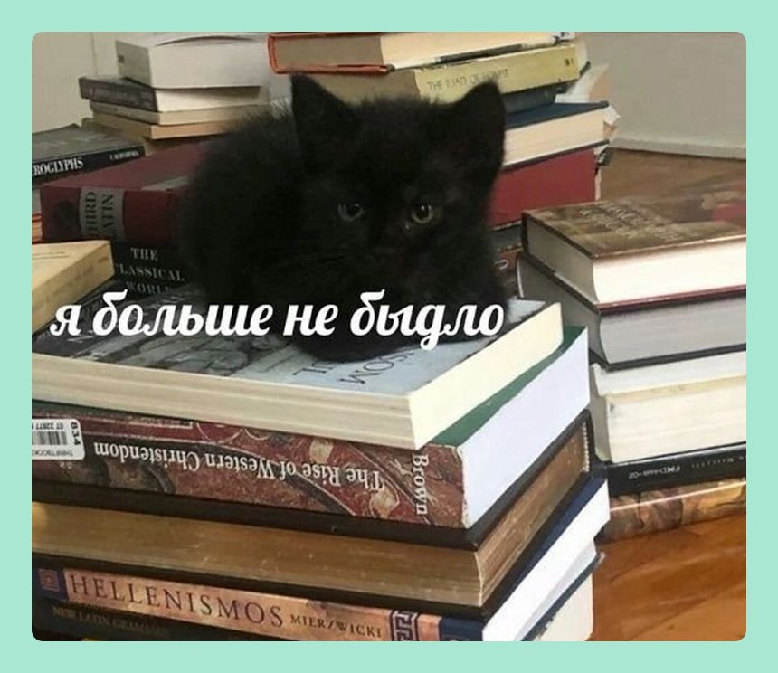 16 мемов про жизнь без интернета — для всех, кто с трудом пережил отключение сети. Природа настолько очистилась, что в Москве отключили интернет