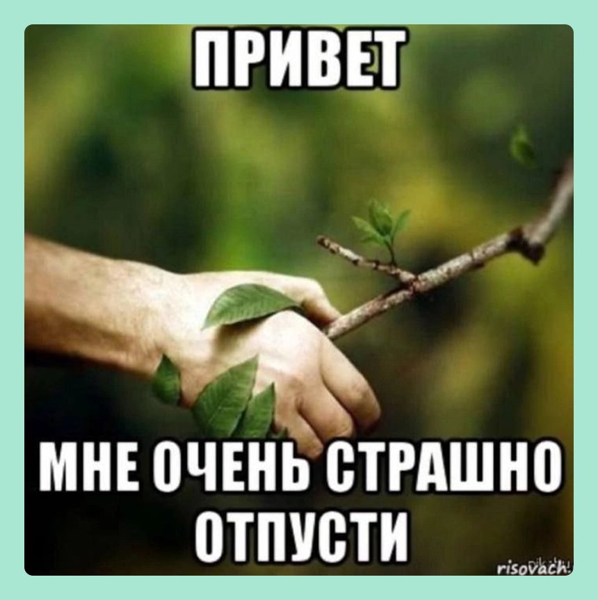 17 мемов про весеннюю аллергию – для всех, кто устал чихать и кашлять от пыльцы