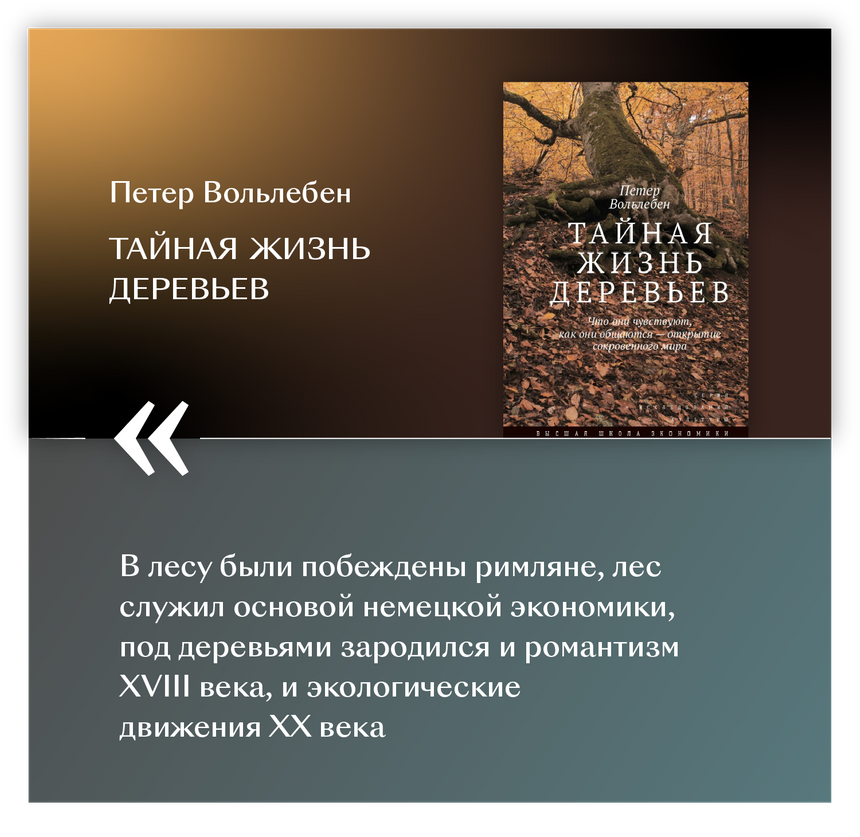 Тайны деревьев книга. Тайная жизнь деревьев книга. Петер Вольлебен. Тайная жизнь деревьев Воллебен. Вольлебен, Петер. Тайная жизнь деревьев : ч.