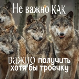 «Жесть он валит»: 22 мема про сессию и экзамены