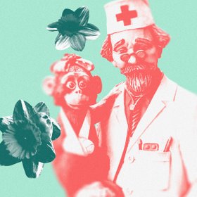 «Вы не задумывались, что доктор Айболит — нарцисс?»: так ли страшен нарциссизм, как мы думаем