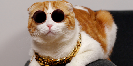 Ученые выяснили, какие конкретно качества делают людей крутыми