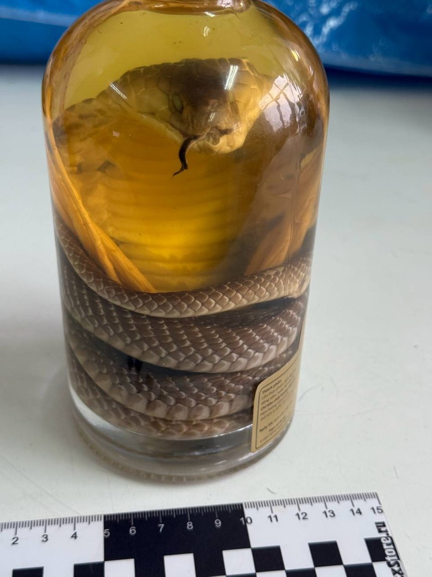 «Змеиное вино», изъятое таможенниками в Барнауле