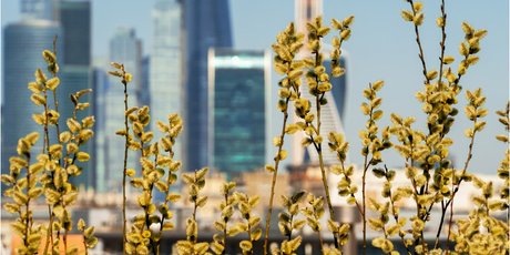 Куда сходить 8 марта в Москве? 10 событий, на которые еще можно купить билеты