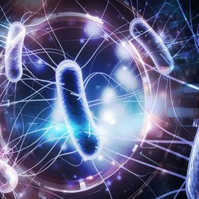 Ученые создали бактерию, которая поедает опухоли изнутри