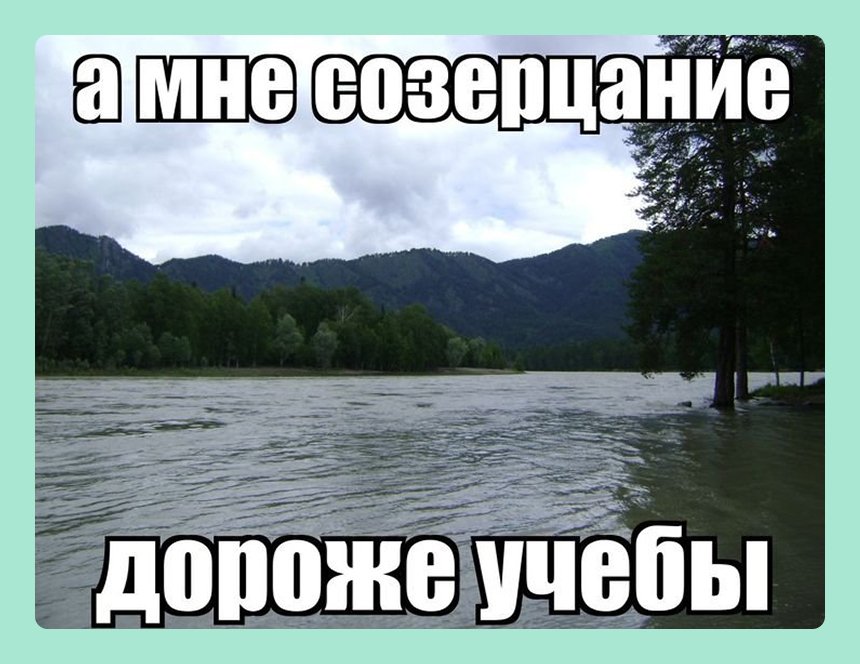 16 мемов про жизнь без интернета — для всех, кто с трудом пережил отключение сети. Природа настолько очистилась, что в Москве отключили интернет