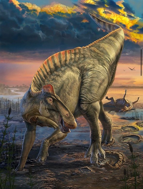 Реконструкция динозавра по мумии