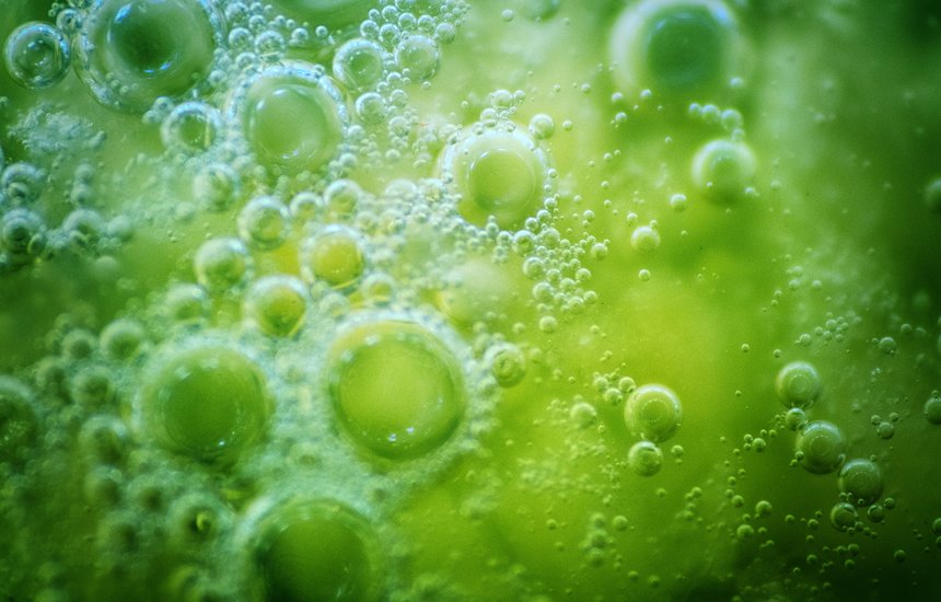 микроводоросли, спонтанное зарождение, ДНК, колонии бактерий, белок, сине-зеленые водоросли, биология, изначальный, первичный бульон, происхождение видов, биогенез, одноклеточные организмы, фантазия о жизни, самосборка, молекулярное соединение, бескислородная атмосфера, химический, рассвет жизни, наука, организмы, бактериальное сообщество, протоплазма, до нашей эры, суп, первые организмы, происхождение жизни, смерть, примитивные, молекулы, бульон, клетка, материя, жизнь, цианотипия, микрокосм, доклеточная эволюция, кислоты, коацерват, архей, цианобактерии, приготовление пищи, органический, под микроскопом., возникновение, структурная эволюция, абиогенез, внешний вид, размножение, доисторический, пульпа;