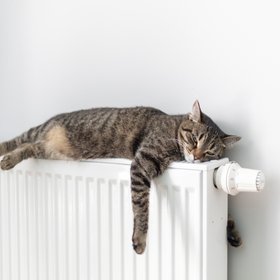 С 1 марта начнут действовать новые правила оплаты отопления