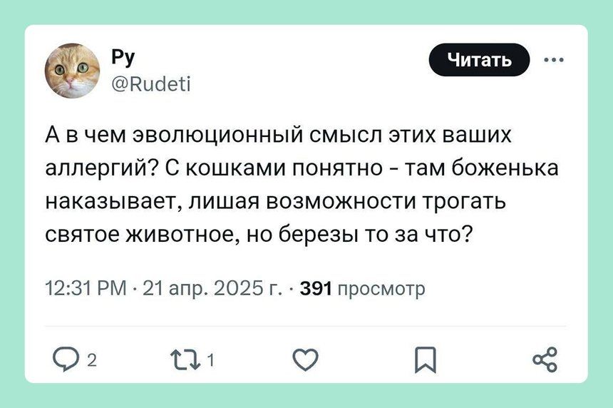 17 мемов про весеннюю аллергию – для всех, кто устал чихать и кашлять от пыльцы