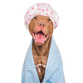 Ученые выяснили, что ежедневные походы в душ не влияют на сухость кожи