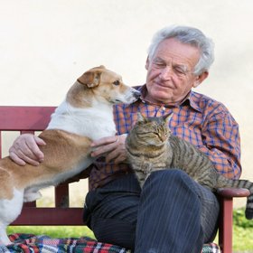 В Госдуме предложили выплачивать пенсионерам пособие по уходу за животными