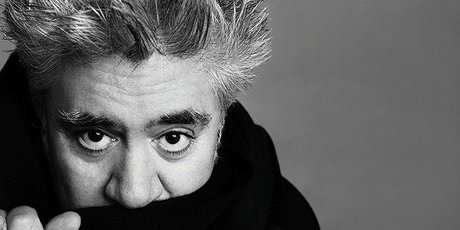 Точка входа: вселенная Педро Альмодовара