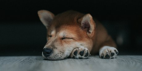 Когнитивная перетасовка, метод спецназа и еще 5 техник для быстрого засыпания