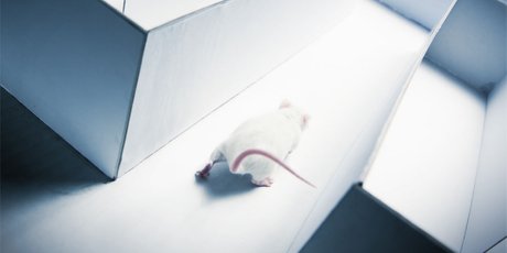 Мультисенсорность: используйте все органы чувств, чтобы учиться быстрее и лучше