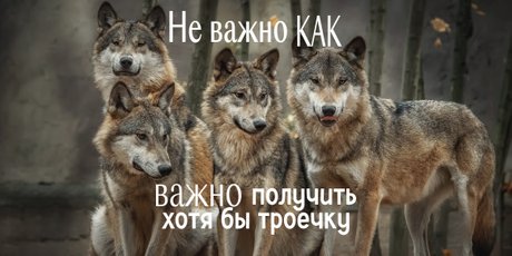 «Жесть он валит»: 22 мема про сессию и экзамены