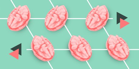 Мыши-предсказатели и человеческий мозг: как искусственный интеллект помог разобраться в механизмах обучения