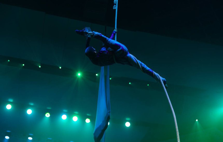 «Если вы ищете сферу, которую точно не заменит ИИ — идите в цирк» : воздушная гимнастка — о работе, зарплате и рисках