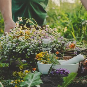 В Китае новый тренд: люди спят в «жареных» травах, чтобы улучшить кровообращение и тонус мышц