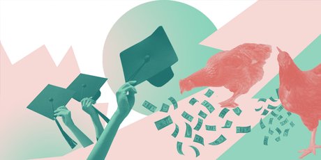 Как правильно хвастаться своим дорогим образованием: перед друзьями, коллегами и работодателями