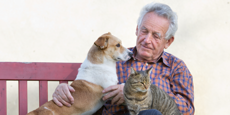 В Госдуме предложили выплачивать пенсионерам пособие по уходу за животными
