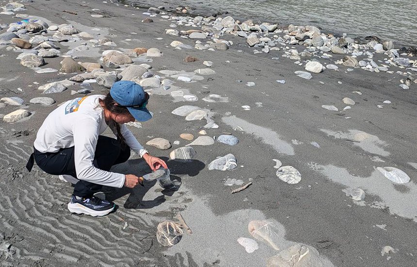 личный архив Софьи