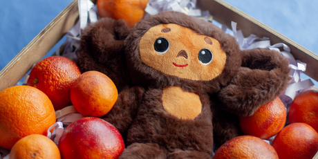 «Чебурашка-то еврей»: в Госдуме поспорили о национальности Чебурашки и решили, что он еврей