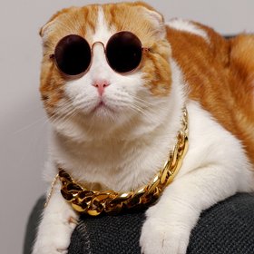 Ученые выяснили, какие конкретно качества делают людей крутыми