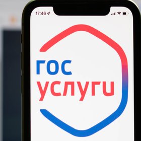 В России предложили маркировать наличие у человека алкоголизма и психических расстройств на Госуслугах