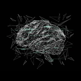 Много будешь знать — скоро состаришься: ученые связали напряженную деятельность мозга с преждевременным старением