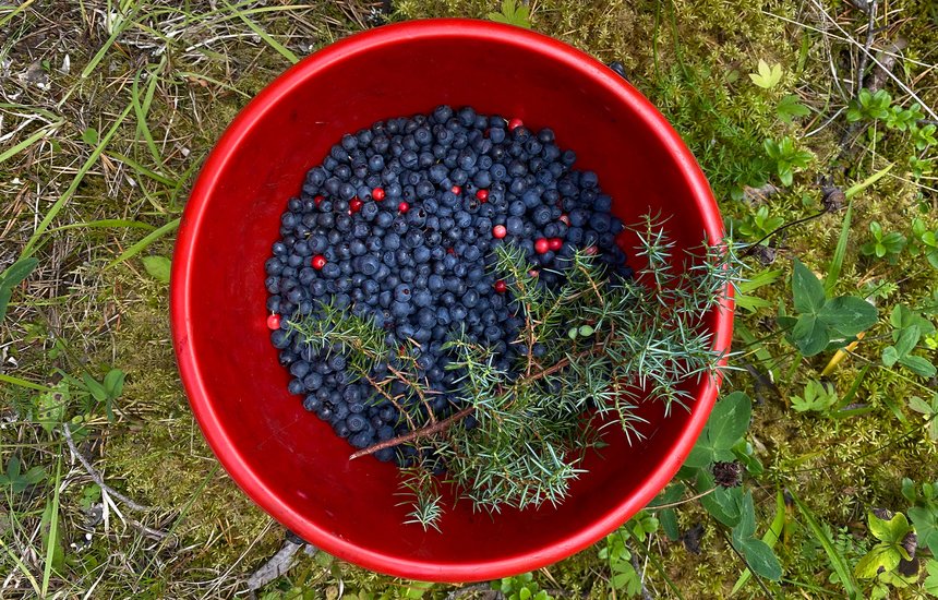 Личный архив героя материала